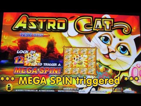 IT Technologies - Astro Cat  *** MEGA SPIN ***