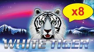 White Tiger Slot - 100x BIG WIN - x8 MULTIPLIER, YES!