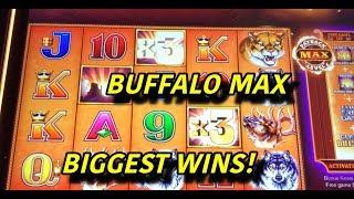Buffalo Max: Biggest Wins