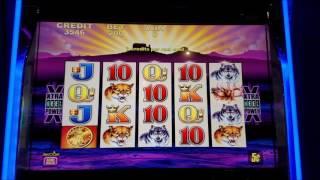 After losing $4000 on Buffalo Slot I got only 3 time Bonus on 8$ and 10$ bet which gave me nothing!!
