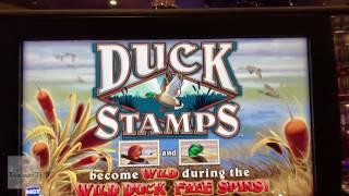 Over Three Thousand Jackpot! | Duck Stamps Game | The Cosmopolitan, Las Vegas, Nevada!