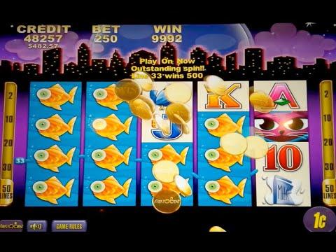 Miss Kitty Slot Machine - Bonus and *BIG WIN* Line Hit!