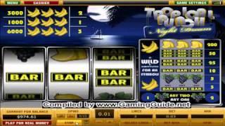 Mayflower Tropical Punch Night Dream 3 Lines Classic Slot