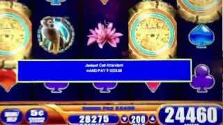 Jungle wild III slot machine Jackpot!