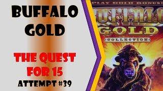 The Quest for 15 - Buffalo Gold Attempt #39 - Seriously!