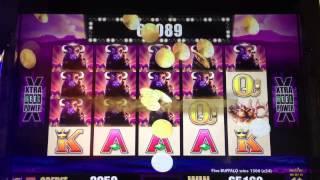 BUFFALO slot Max Bet- HUGE WIN