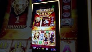 Part 2 $800 Group Pull $12 bet 10c Denom Buffalo Gold Group Play  Slot machine Pokie slot play