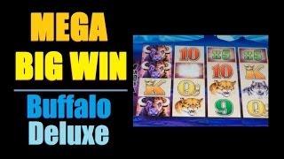 MEGA BIG WIN!!!  Buffalo Deluxe Slot Machine Bonus! ~Aristocrat (Buffalo Legends)