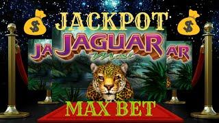 • Jaguar  Mist / Jackpot  • MAX BET / 20$ •By Aristocrat Slot