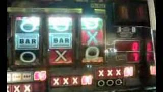 Coin World - Casino Bear X Mixed Streak!!!