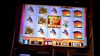Slot bonus win on Jungle Cats at Parx Casino.