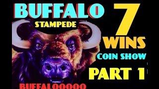 BUFFALO STAMPEDE slot machine 7 WINS COIN SHOW ( Part 1)