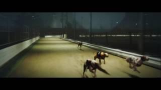 Playtech Virtual Sports – Greyhounds