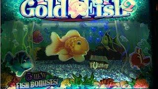TBT! WMS - Gold Fish Slot - Max Bet Bonus - Free Spins