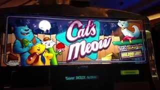 WMS OLD SCHOOL CAT'S MEOW slot machine Fun picking bonus