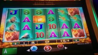 Raging Rhino Slot Machine Bonus ft. Kelly Clarkson