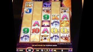 Buffalo Stampede Slot Machine, Live Play No Bonus     Last Spin