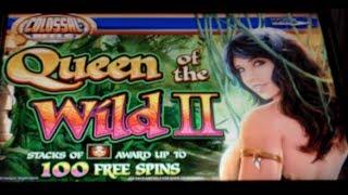 Queen of the Wild II Colossal Reels - WMS - Bonus Feature