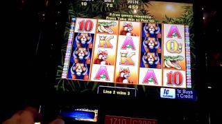Tigress Bonus Win on Penny Slot Machine