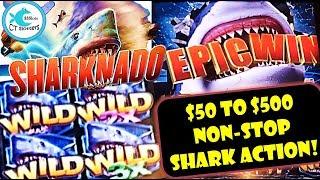 CATCH of THE DAY! Sharknado Slot Machine Strikes Again! Fun w/ Friends!
