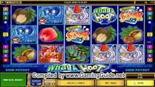 All Slots Casino What A Hoot Video Slots