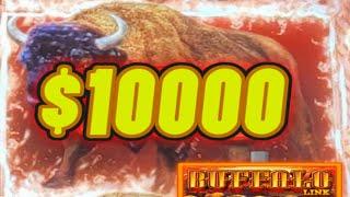 THIS IS 100% REAL!!!  ⋆ Slots ⋆ BUFFALO LINK DROPS MASSIVE MONEY!