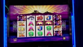 Buffalo Slot Machine  MAX BET 100$ QUICK Lose    Part1