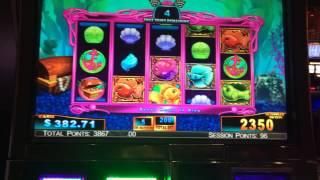 Goldfish Race for the Gold Slot Machine Bonus