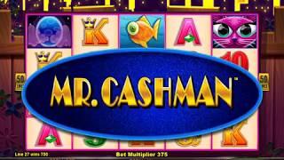 MISS KITTY GOLD Video Slot Casino Game with a CASHMAN BONUS