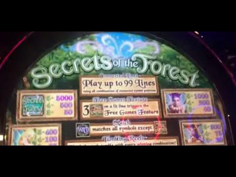 Secrets of the Forests $5 bet bonus 9 spins Big Win** SLOT LOVER **