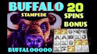 BUFFALO STAMPEDE slot machine BONUS and BIG WINS (3 videos)