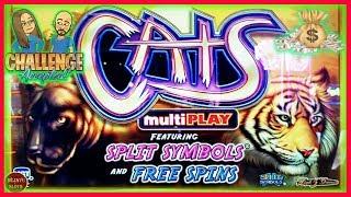 CAN WE BONUS! CATS MULTI PLAY SLOT MACHINE | LIVE SLOT SESSION