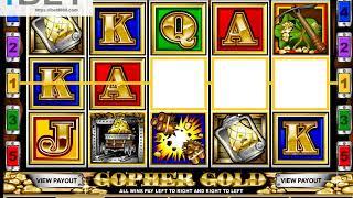 MG Gopher Gold Slot Game •ibet6888.com