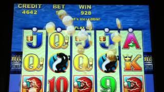 GREAT Whales Of Cash Slot Machine Line Hit