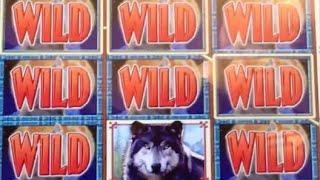 Wolf Run MAX BET •LIVE PLAY• Slot Machine Pokie at San Manuel, SoCal