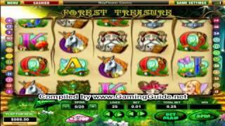 Mayflower Forest Treasure 25 Lines Video Slot