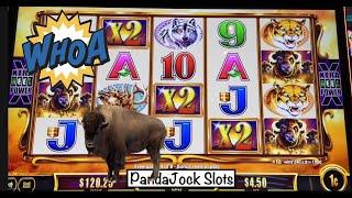 This is why we love Buffalo machines! ⋆ Slots ⋆