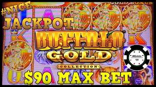 •️HIGH LIMIT Buffalo Gold BIG JACKPOT HANDPAY ON $90 MAX BET BONUS ROUND •️DRAGON LINK PANDA MAGIC•️