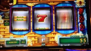 The Wizard Of Oz Toto Bonus @ 35 Cent Bet