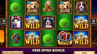 PAWPALOOZA Video Slot Casino Game with a PAWPALOOZA FREE SPIN BONUS