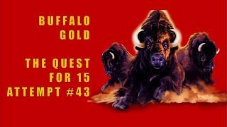 Buffalo Gold Challenge #43