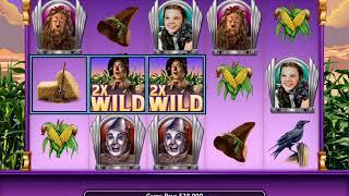 THE WIZARD OF OZ: IF  I ONLY HAD A BRAIN Video Slot Casino Game with a FREE SPIN BONUS