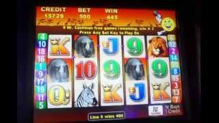 Mr Cash Man African Dusk MAX BET slot machine Free spin bonus