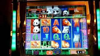 Giant Panda Slot Machine Bonus Win (queenslots)
