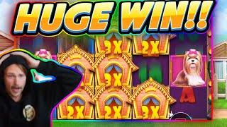HUGE WIN!!! Dog House BIG WIN - Casino game from CasinoDaddy Live Stream