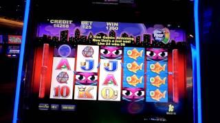Miss Kitty slot bonus win at Revel