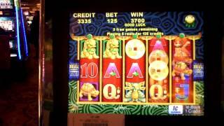 5 Dragons slot machine bonus 100x  win