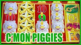 • Piggy Love with Buffaloes + Jason!! • • Slot Machine Pokies w Brian Christopher