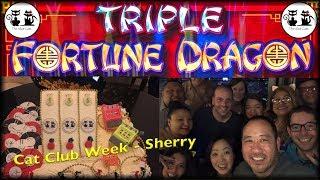 Cat Club Week • Triple Fortune Dragon • The Slot Cats •