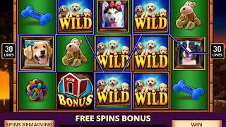 PAWPALOOZA Video Slot Casino Game with a PAWPALOOZA FREE SPIN BONUS